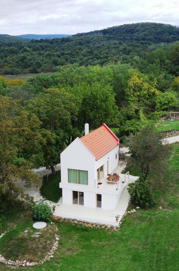 Baloveon Birtok Kaptalantoti Buitenkant foto